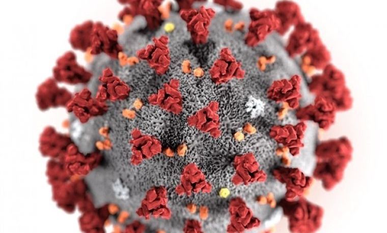 covid19-virus