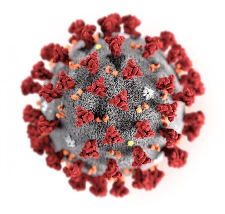 covidvirus