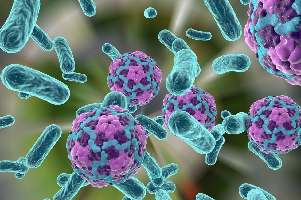 Hepatitis A oltás