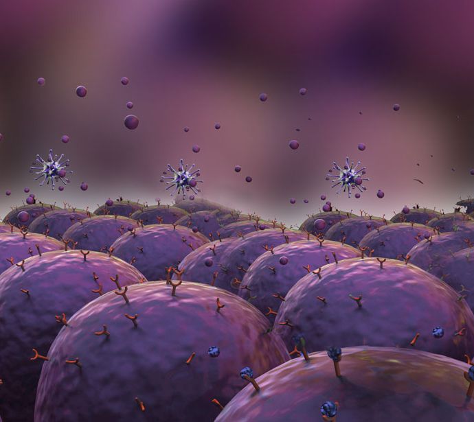 Immunológia