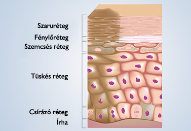Pigmentációs rendellenesség