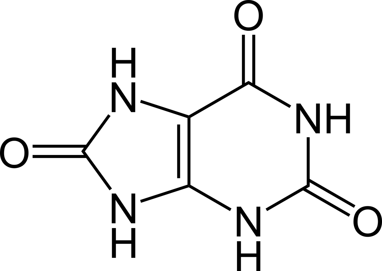 Húgysav