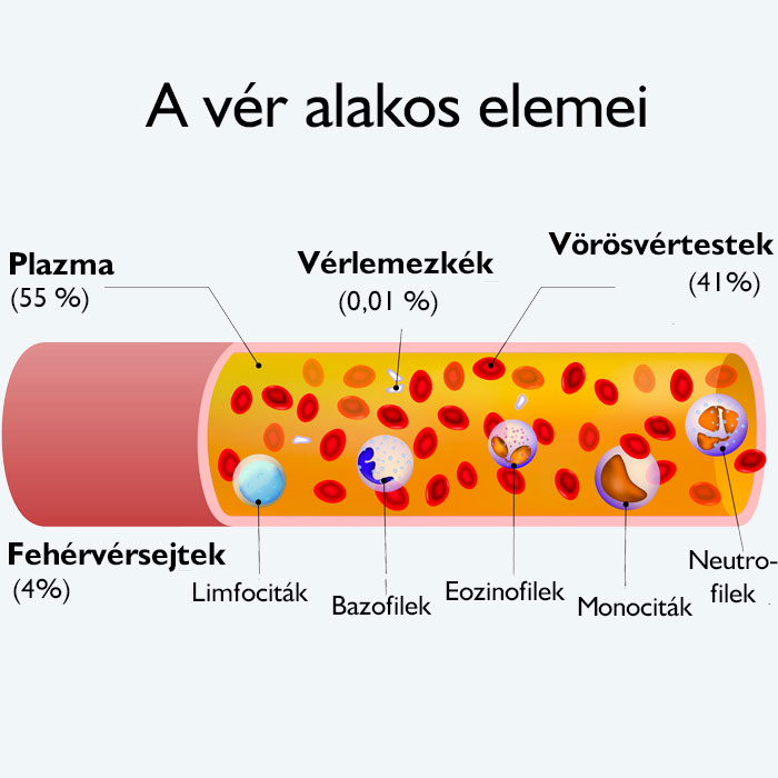 Vér alakos elemei