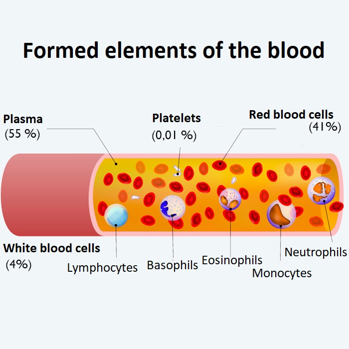 blood count