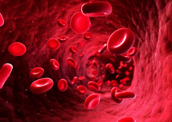 Thrombophilia