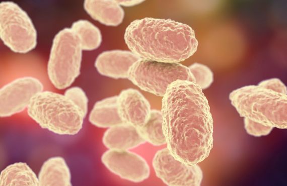 Pertussis