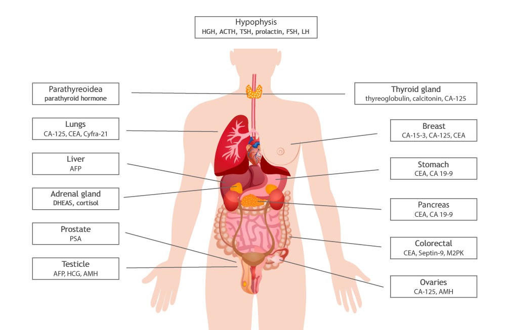 Tumour markers