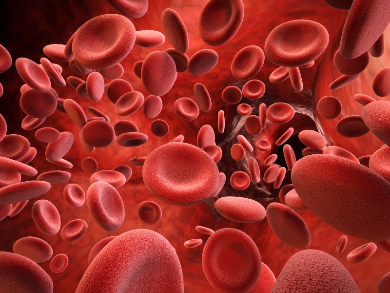 Hemoglobin