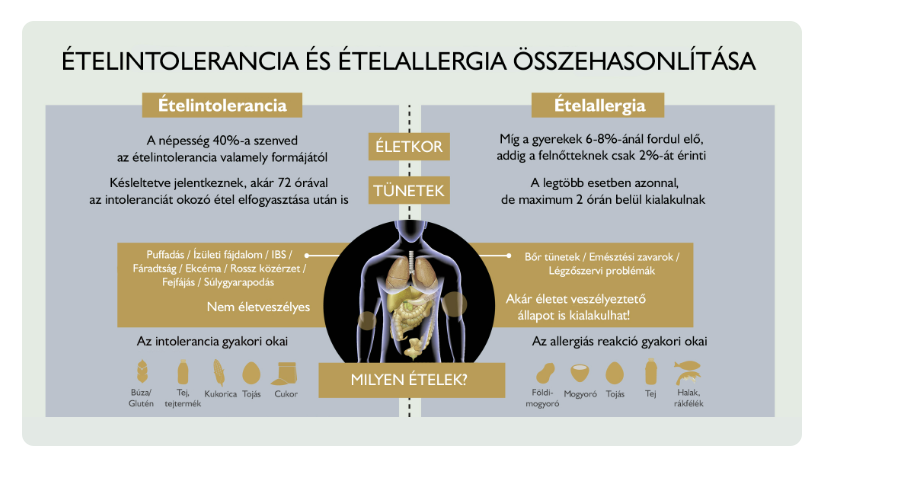 Ételintolerancia és ételallergia összehasonlítása