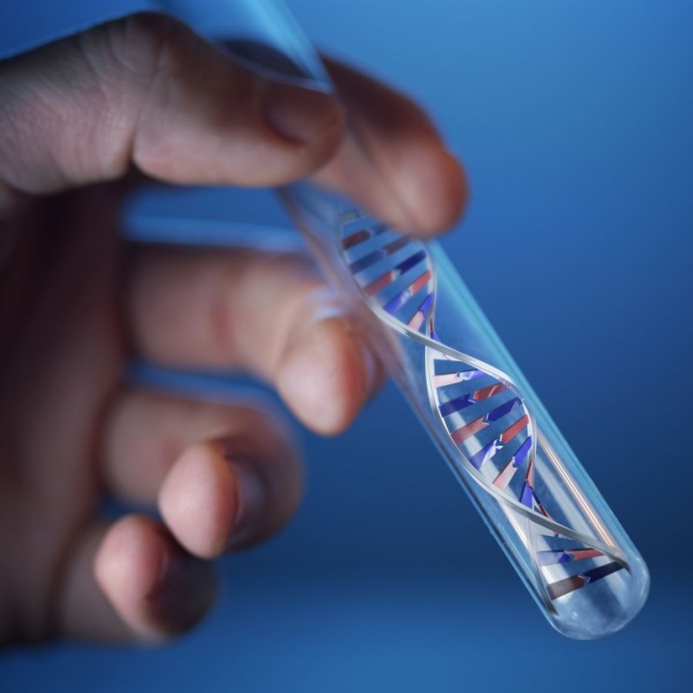 Mikrobiológia PCR vizsgálat