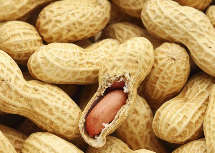 földimogyoró allergia